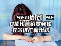 【SEO優(yōu)化】SEO優(yōu)化營銷貫穿獨(dú)立站推廣新出路