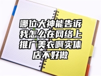 哪位大神能告訴我怎么在網(wǎng)絡(luò)上推廣美衣啊實(shí)體店不好做
