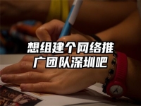 想組建個(gè)網(wǎng)絡(luò)推廣團(tuán)隊(duì)深圳吧