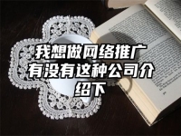 我想做網絡推廣有沒有這種公司介紹下