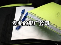 專業(yè)的推廣公司